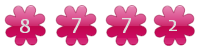 free hit counter