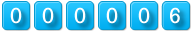 website hit counter