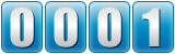 website hit counter